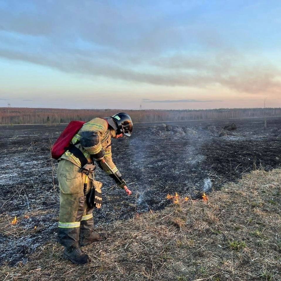 Губернатор области Олег Кувшинников рассказал о начале особого противопожарного режима на Вологодчине.