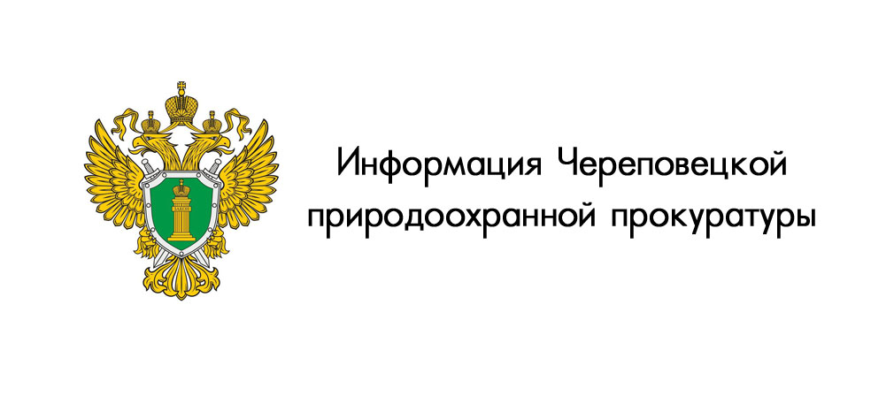 В Вологодской области судом удовлетворены требования природоохранной прокуратуры к Федеральному агентству лесного хозяйства (Рослесхозу) по проведению лесоустройства.