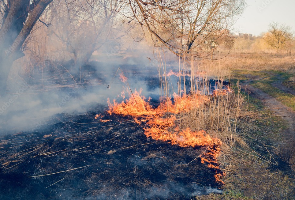 Управление Росреестра по Вологодской области проводит профилактические мероприятия по пожарной безопасности.
